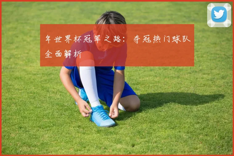 年世界杯冠军之路：夺冠热门球队全面解析